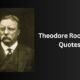 Theodore Roosevelt Quotes