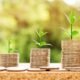 investment guide