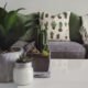 4 Plants You Should Have in Your Home to Keep Pests Away