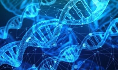 dna testing