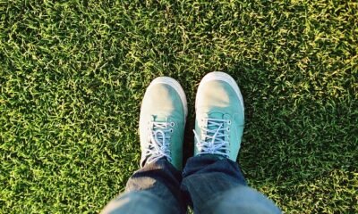 Tips For Running a Landscaping Business