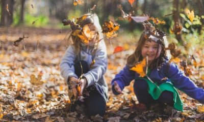 The Importance of Play How Kids Learn by Having Fun