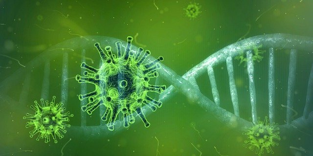 How Your Immune System Affects The Covid 19 Symptoms You Experience