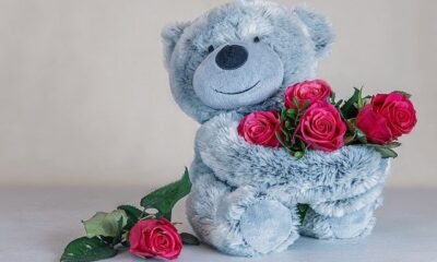How to Impress your Life Partner with Soft Bear Rose Gifts