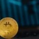 The Race to Bitcoin Top Companies Investing in the Future