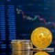 Discussion on Bitcoin by El Salvador and 44 Other Countries