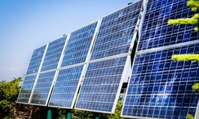 How To Build a Greener Business