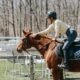 Turning Seasonal Hobbies Into Year-Round Fitness