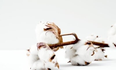 Surprising Facts about Fabrics that Will Help You Make Wiser Choices