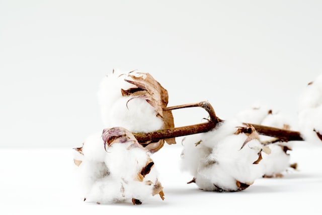 Surprising Facts about Fabrics that Will Help You Make Wiser Choices