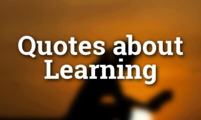 quotes about learning