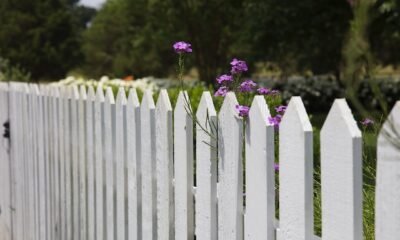 Fencing Options for Your Outdoor Living Space