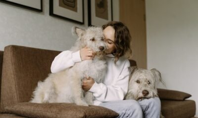 Ways To Bond With Your Pet And Show Them You Love Them