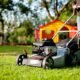 Lawn Fertilizer Cool-Season Grass