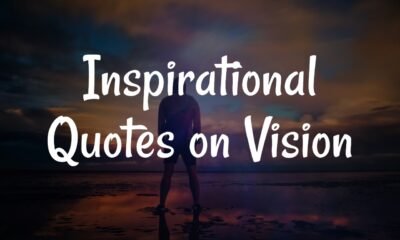 Inspirational quotes on vision and success