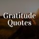 inspirational gratitude quotes for life