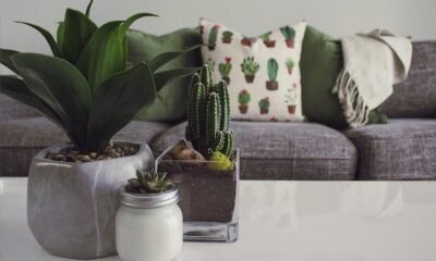Decor Hacks-Stylish Decorating on a Small Apartment Budget