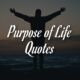 quotes about finding your purpose in life