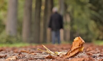 Do in the Days After Someone Dies