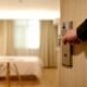Benefits of Professional Rat Pest Control Services