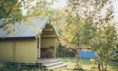 Local Sheds for Your Backyard